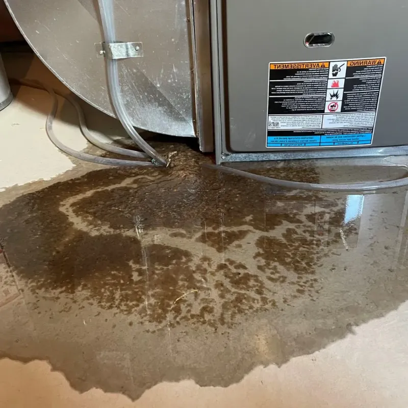 Pipe Burst and Leak Restoration in Upper Pohatcong, NJ