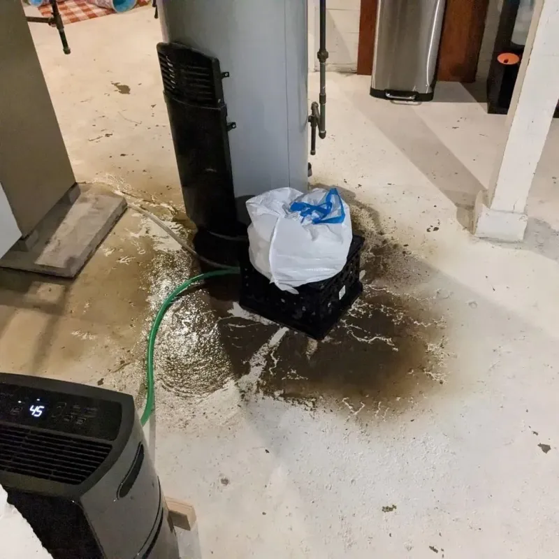Sewage Backup Cleanup Service in Upper Pohatcong, NJ